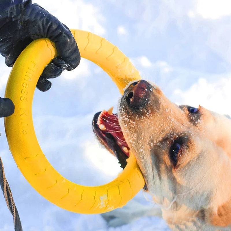 Tough EVA Ring Puller Toy – Safe & Fun Training Play for Big Dogs 